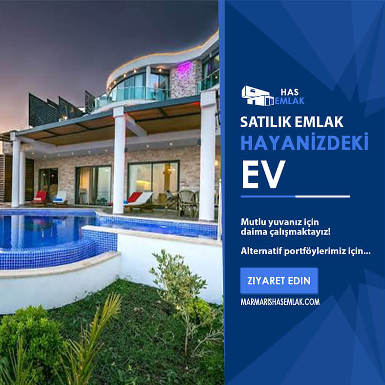Sosyal Medya Tasarımı